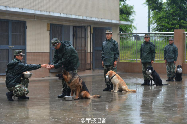 “舍命产子”妈妈离世，“慢性排异”因何要了人的命？